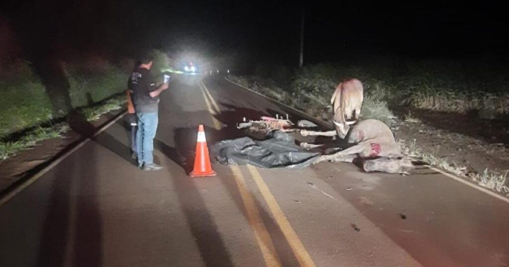 ​Adolescente morre em acidente entre moto e cavalo em Bandeirantes
