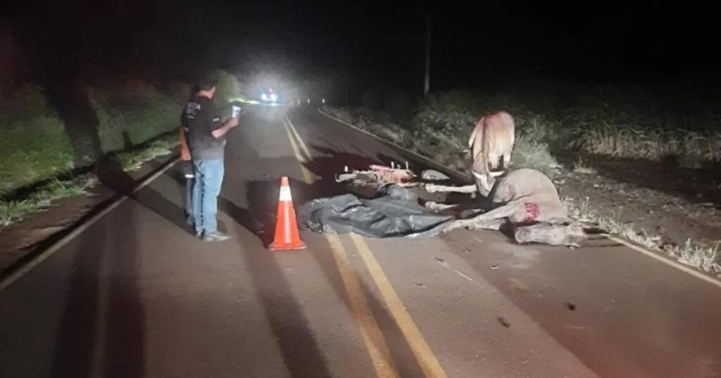 Tragédia em Bandeirantes: acidente fatal envolvendo moto e cavalo. 2 Adolescente morre em acidente entre moto e cavalo em Bandeirantes