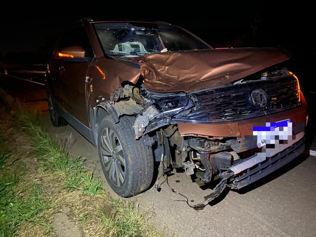 Cavalo morre atropelado na ERS-135 em Getúlio Vargas – Jornal Boa Vista e Rádio Cultura 105.9 Fm