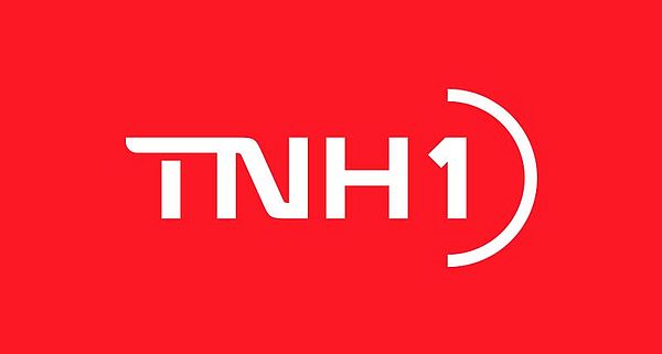 Descubra: Produtores da Coopaz colhem bons resultados de milho para silagem – TNH1