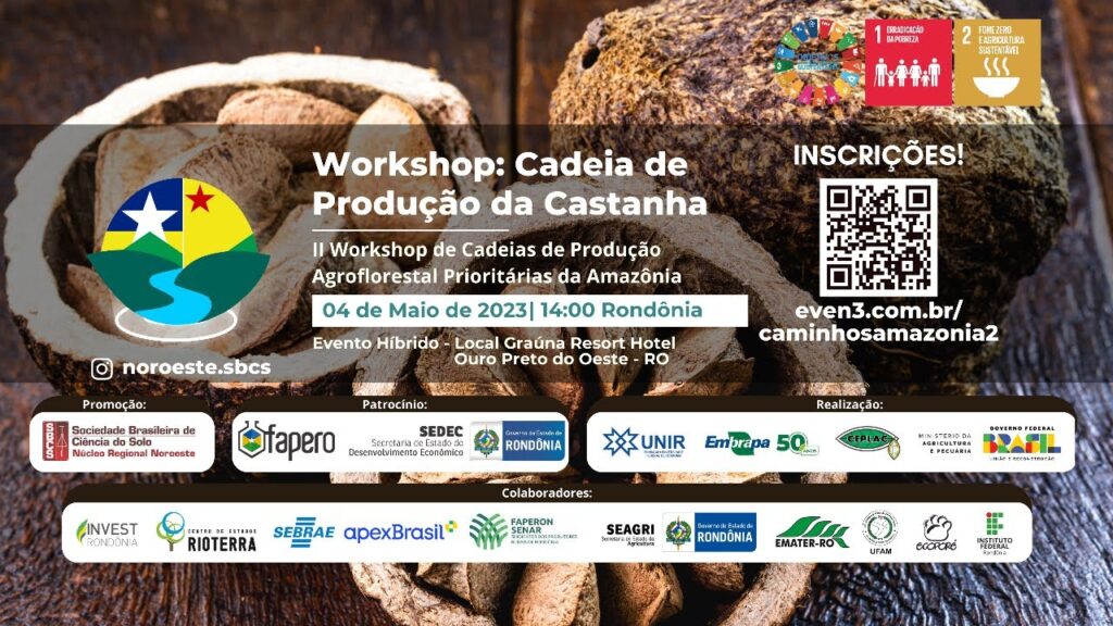 workshop cadeia de producao da castanha
