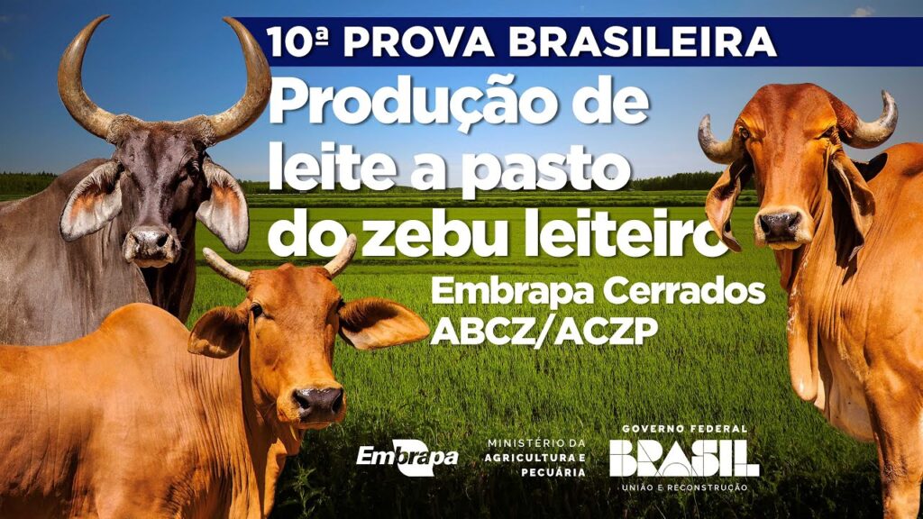 10a prova brasileira de producao de leite a pasto de zebu leiteiro
