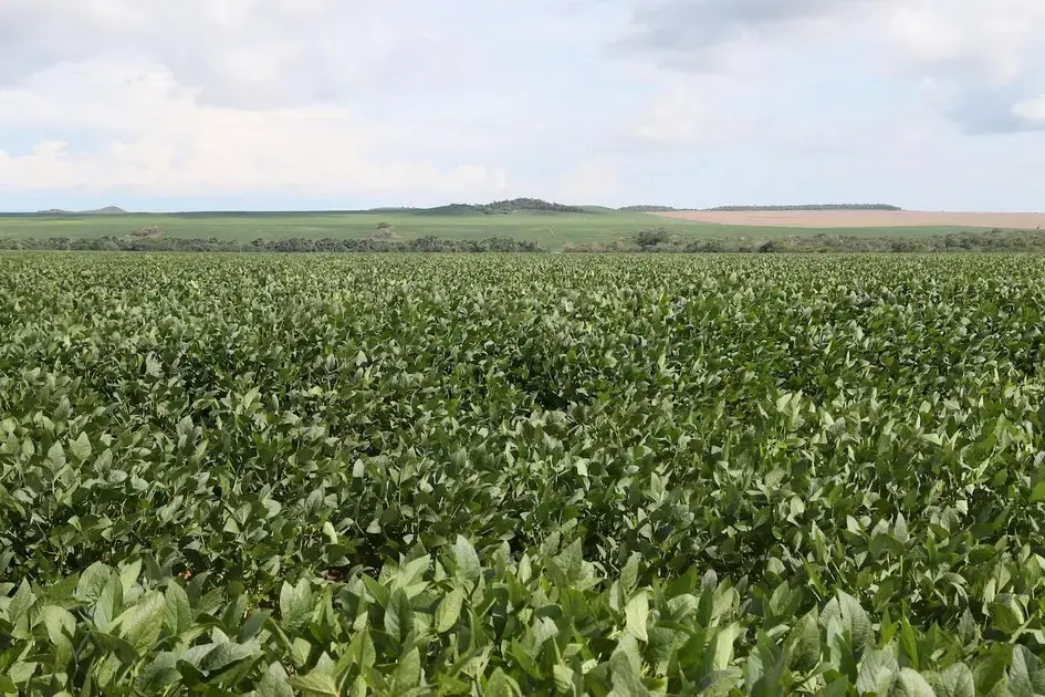 Inteligência Artificial