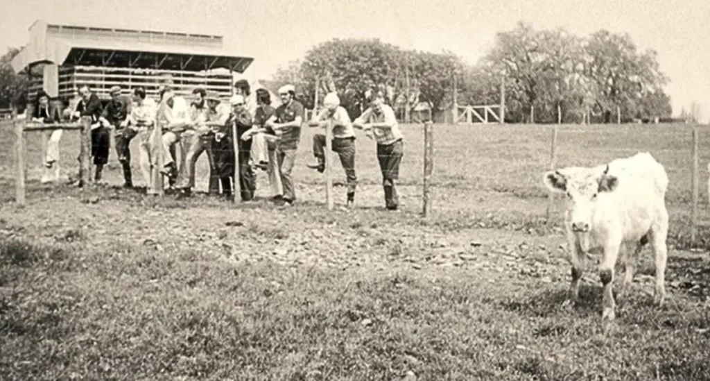 Melhoramento Genético