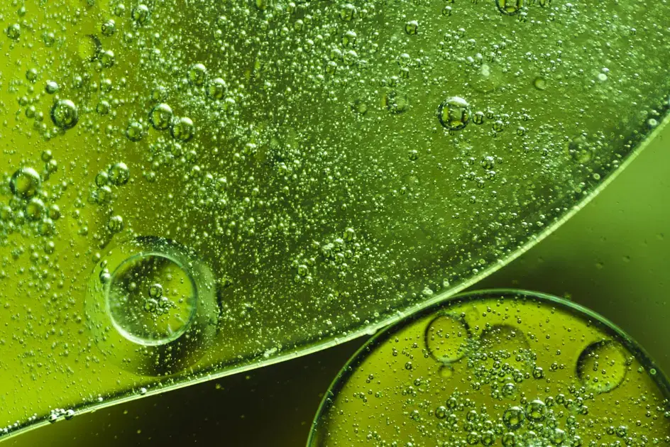 “7 Técnicas inovadoras de Adubação Verde para potencializar a sua lavoura”