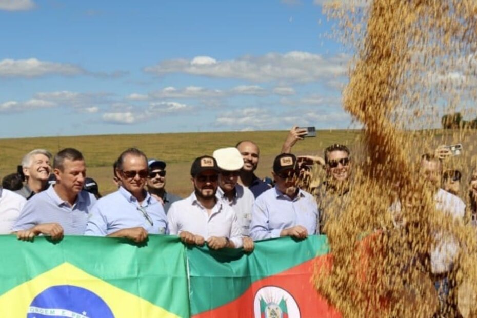 Destaque Rural - Otimismo marca abertura oficial da colheita da soja no RS