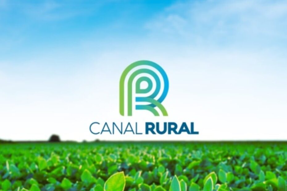Crescimento de 15,1% do PIB da agropecuária em 2023 comparado ao ano anterior - Canal Rural