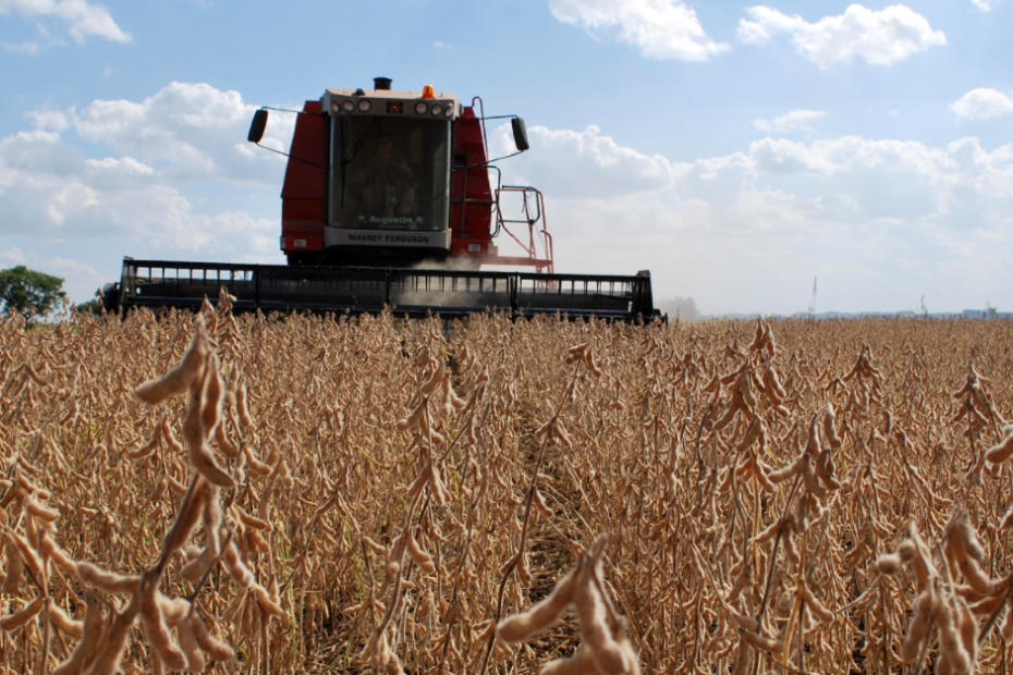 Colheita de soja em Mato Grosso avança e atinge 84,66% da área, afirma Imea • Portal DBO