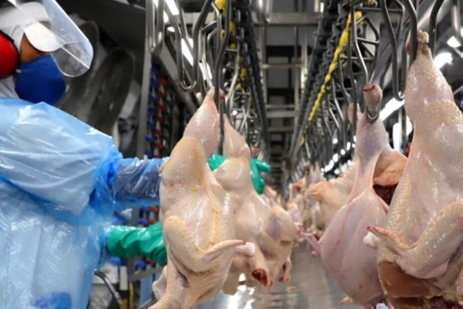 Brasil negocia expansão de mercado para frango com EUA