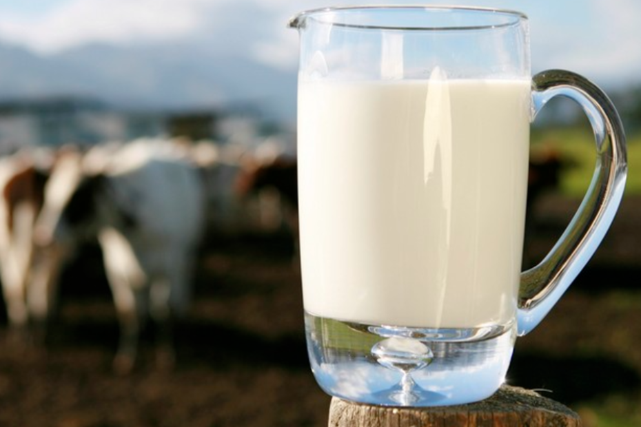 CNA debate importações de lácteos, ações para 2024 e Plano Agrícola e Pecuário • Portal DBO