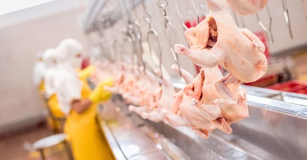 Preço das carnes apresenta reversão no mercado internacional