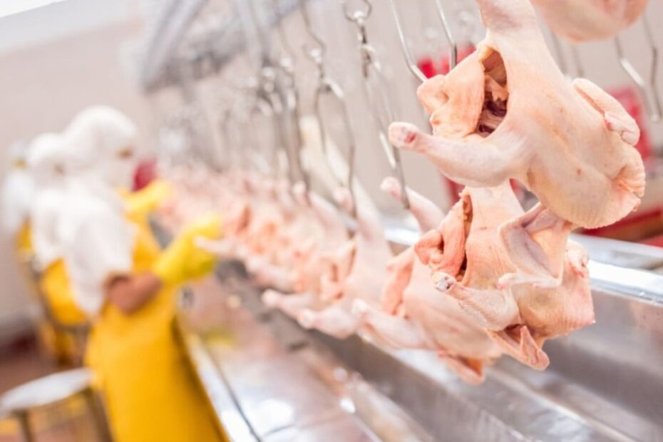 Preço das carnes apresenta reversão no mercado internacional