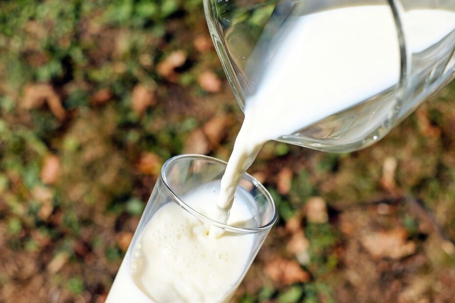 Leites vegetais nÃ£o sÃ£o nutricionalmente iguais ao leite de vaca, aponta estudo