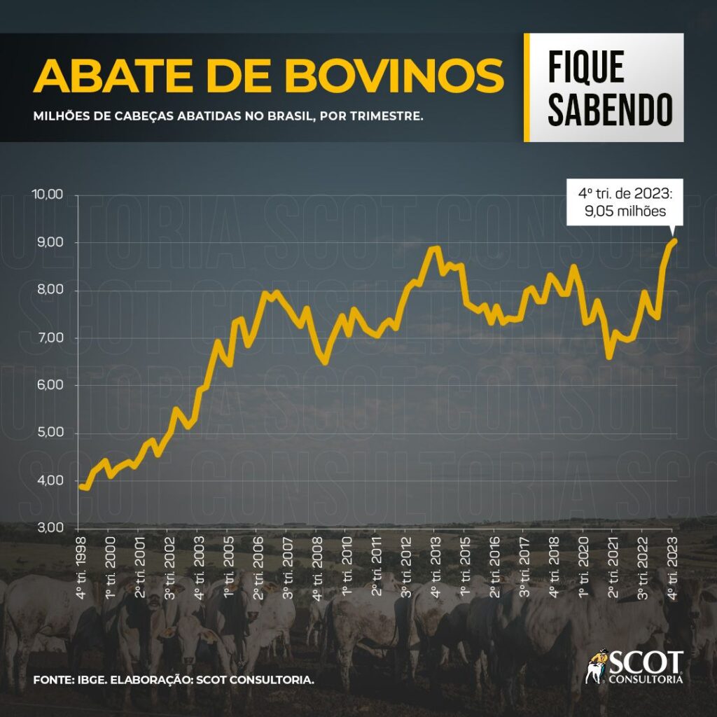 Descubra o abate de bovinos