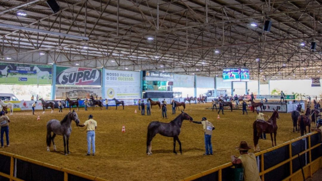 ABCCMM irá promover curso de provas esportivas durante a Expo Brasileira do Criador 2024