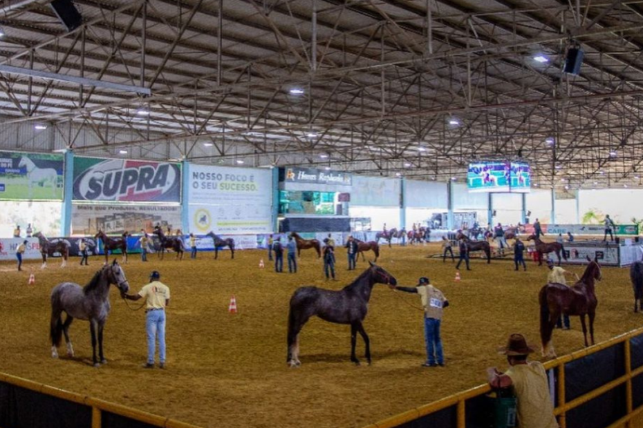 ABCCMM irá promover curso de provas esportivas durante a Expo Brasileira do Criador 2024