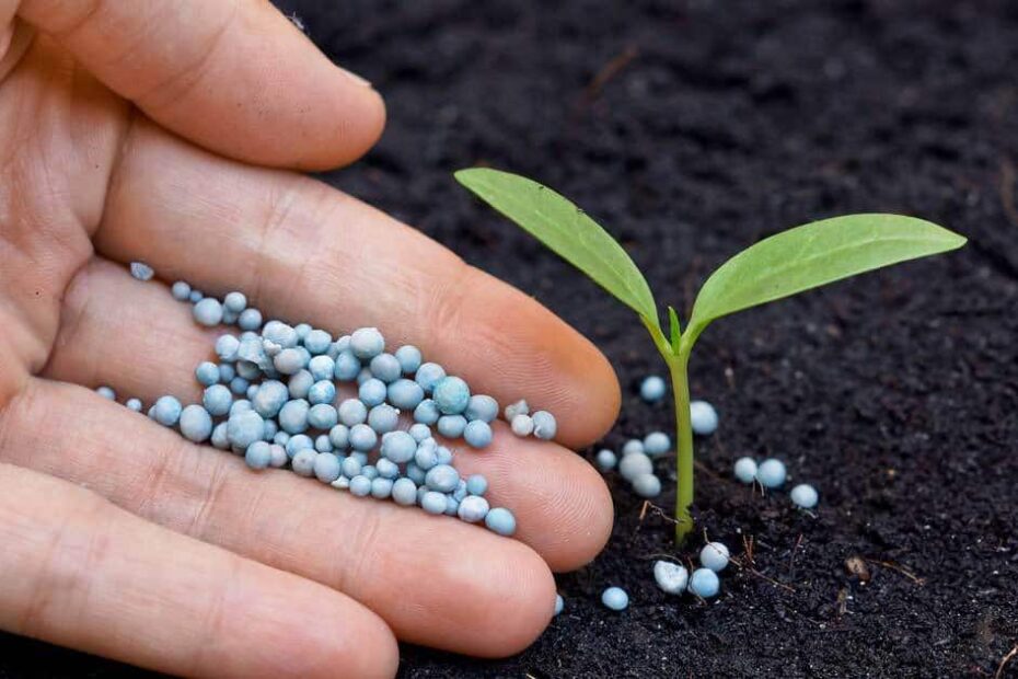 Você está visualizando atualmente Fertilizantes: O que são, para que servem e quais os tipos?