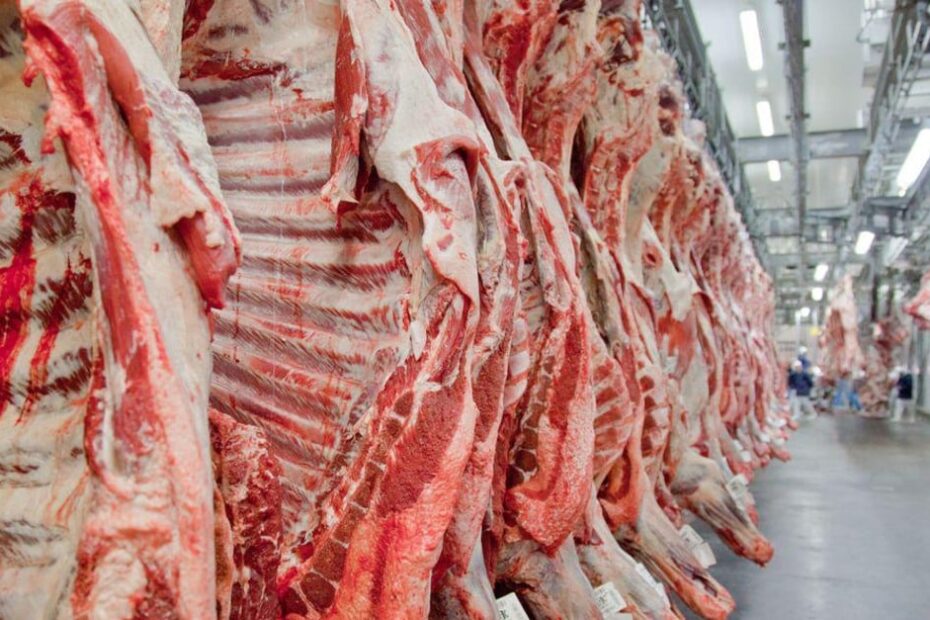 Exportacao de carne bovina brasileira crescimento surpreendente