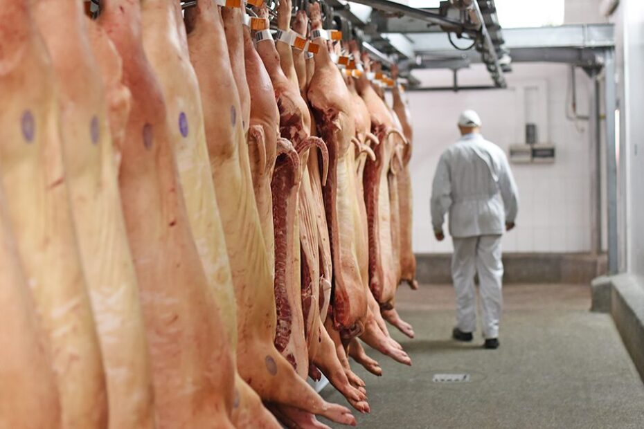 Exportacoes de carne suina brasileira em alta