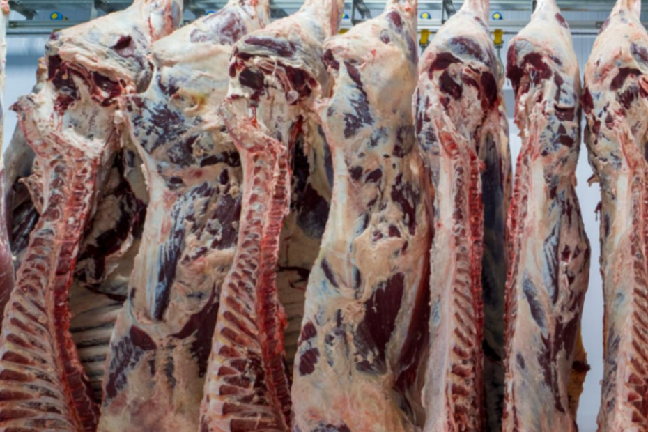 O caso JBS recai sobre a pecuária brasileira? Analista avalia o que fica de lição para outros frigoríficos