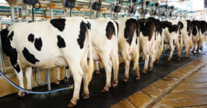 Preço de referência do leite no RS em março é 1,14% superior ao de fevereiro • Portal DBO