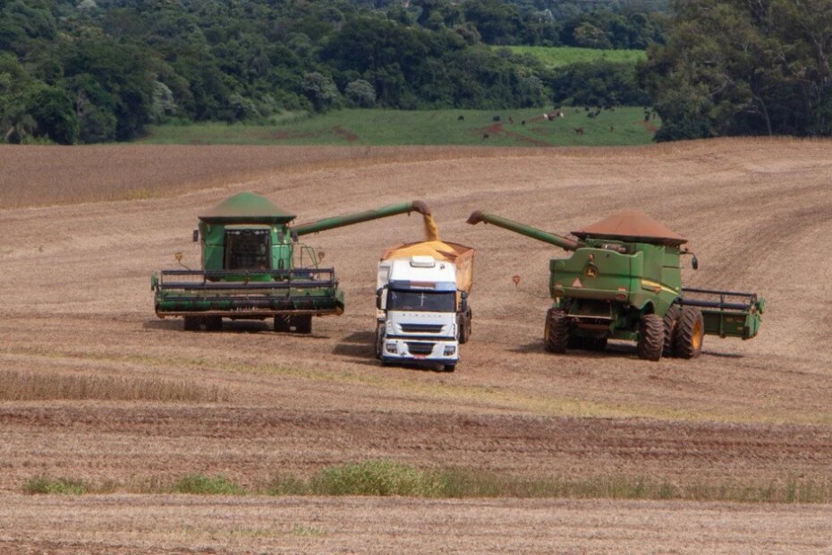 Governo do Paraná divulga dados da safra de grãos 2023/2024