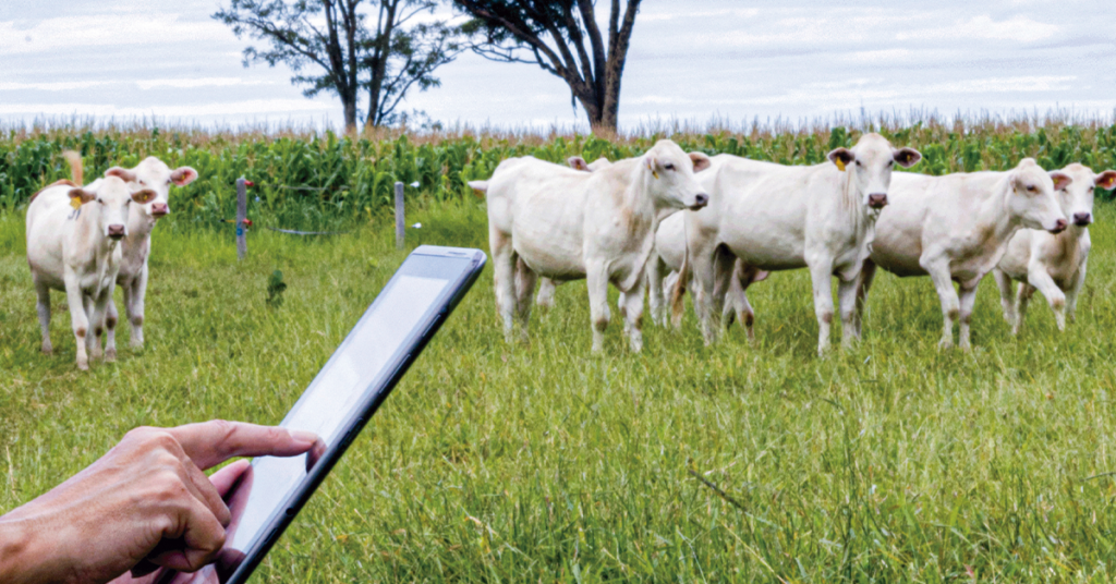 Pesquisa da ABAG mapeia prioridades de inovação e competividade no agronegócio • Portal DBO