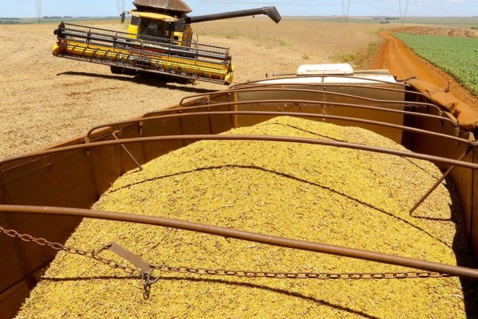 Destaque Rural - Paraná deve colher 18,8 milhões de toneladas de soja nesta safra