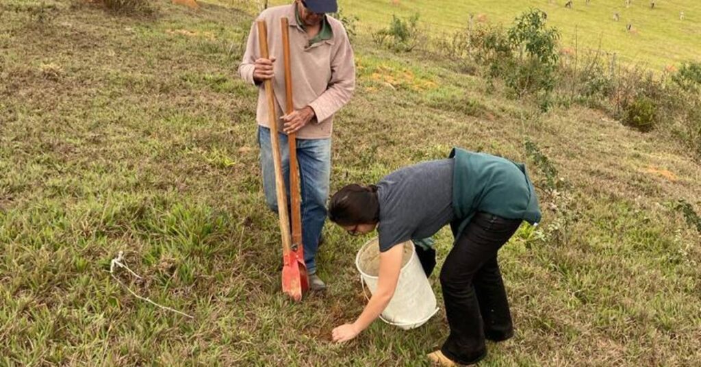 Emater-MG desenvolve projeto de recuperação de solo na Zona da Mata • Portal DBO