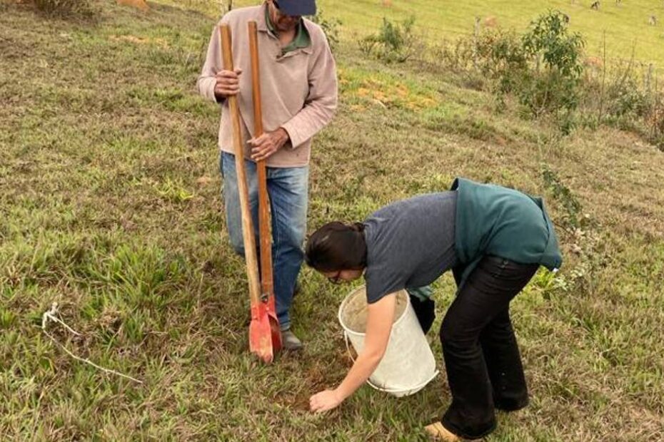 Emater-MG desenvolve projeto de recuperação de solo na Zona da Mata • Portal DBO