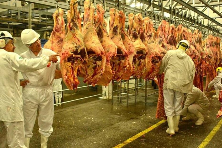 Rio Grande do Sul terá acesso a mercado de carnes bovina, suína e aves das Filipinas • Portal DBO
