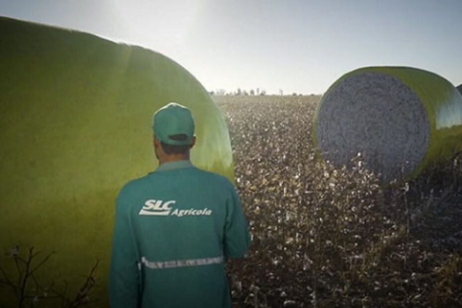 SLC Agrícola (SLCE3) reverte lucro e fecha o 4T23 com prejuízo de R$ 153 milhões – Money Times