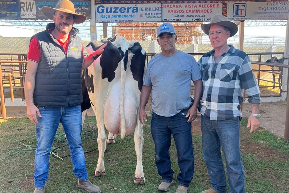 Vaca francana bate recorde mundial com 144 quilos de produção de leite