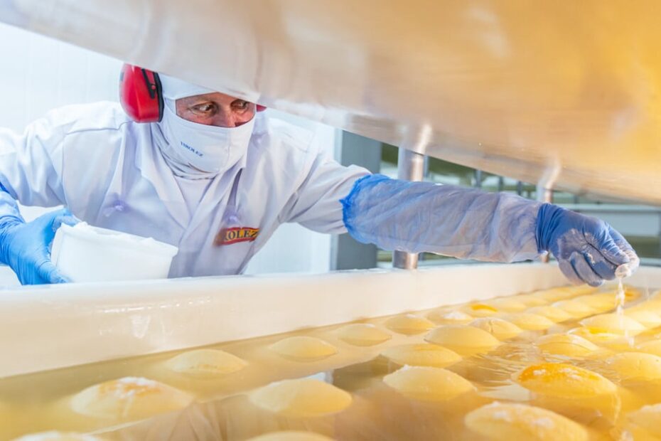 Gigante dos queijos inaugura fábrica de R$ 150 milhões em Santa Catarina