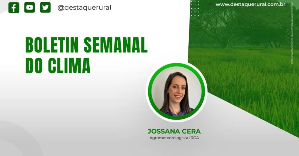 Temporais e chuvas intensas causam danos à agricultura no RS