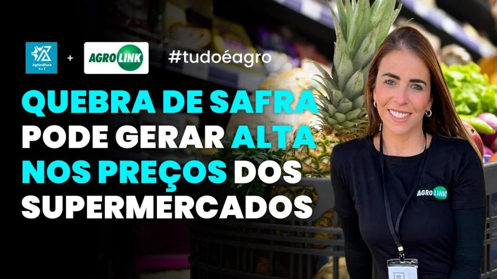 agro em destaque resumo semanal 02 03