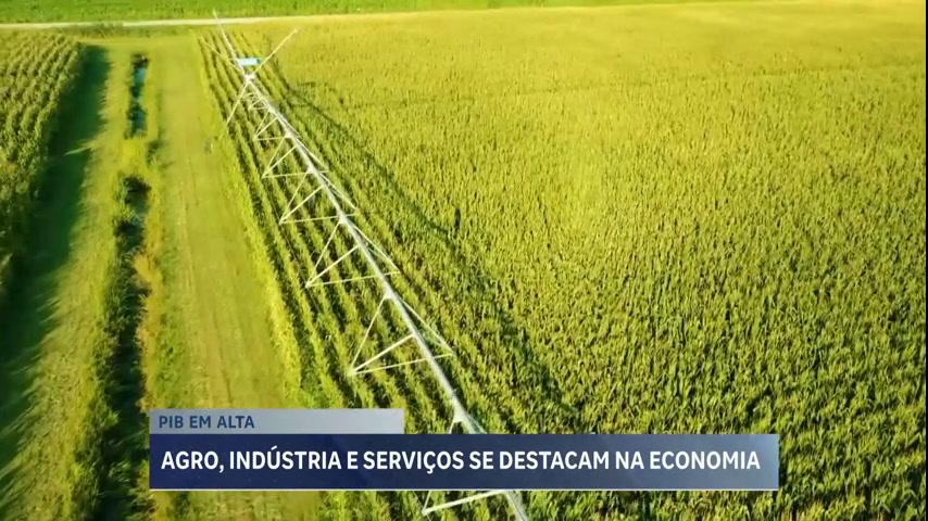 Agropecuária em alta em 2023!
