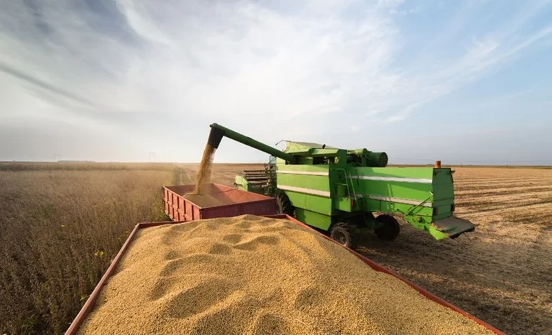 Agropecuária impulsiona economia em 2023. 7 agropecuaria