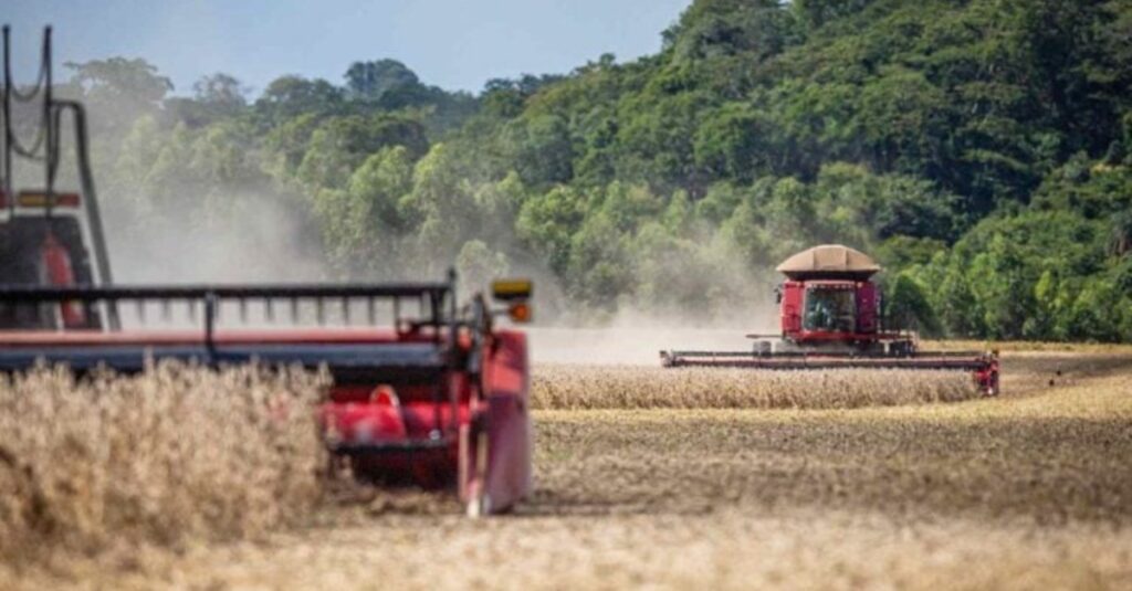 Anec projeta exportação de soja em 13,71 milhões de toneladas