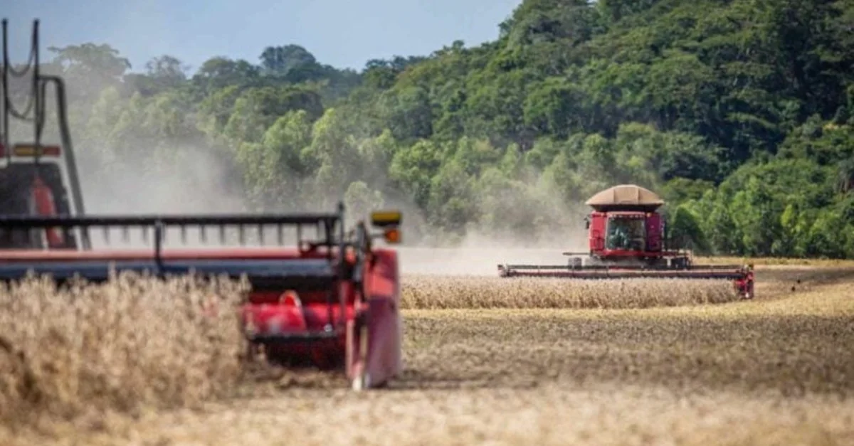 Anec projeta exportação de soja em 13,71 milhões de toneladas