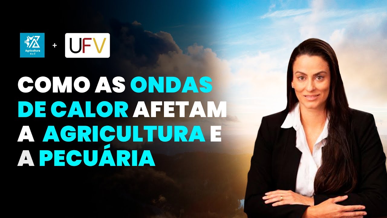 aquecimento e agricultura impactos das ondas de calor