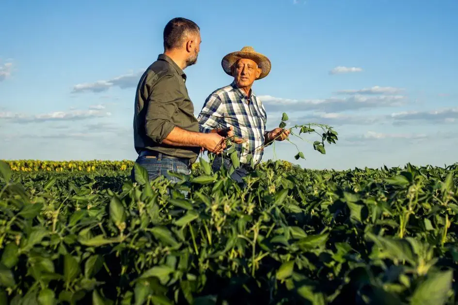 Agricultura Regenerativa