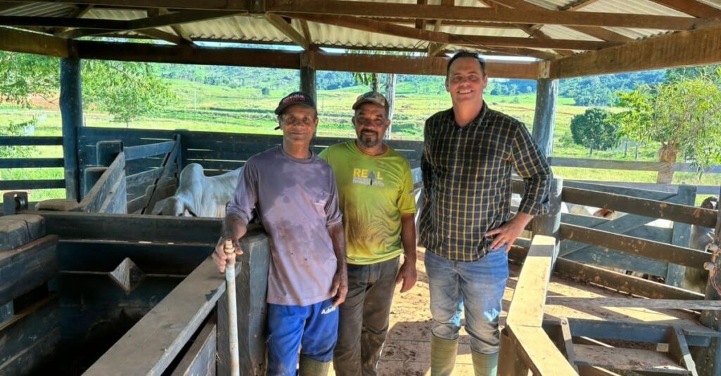 Cocho farto e pasto irrigado faz boiada espetacular com 18@ no interior de Rondônia