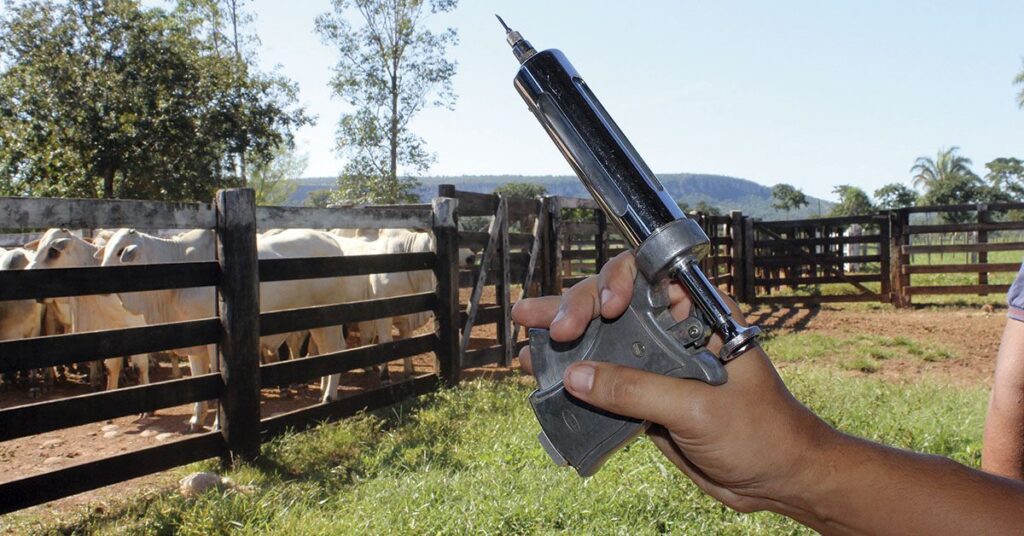 AM e PI irão suspender vacinação contra a aftosa após última etapa no mês de abril • Portal DBO