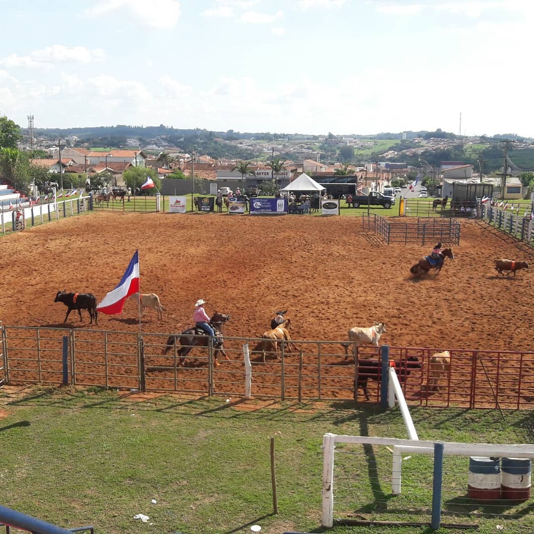 APAE de Itapira irá promover a 6ª edição da Festa do Cavalo