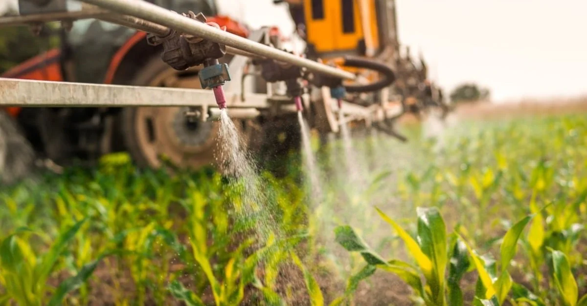 Combinação inusitada para o milho: inseticida e ureia líquida! 11 Inseticida junto com ureia líquida para o milho? Saiba se mistura é adequada