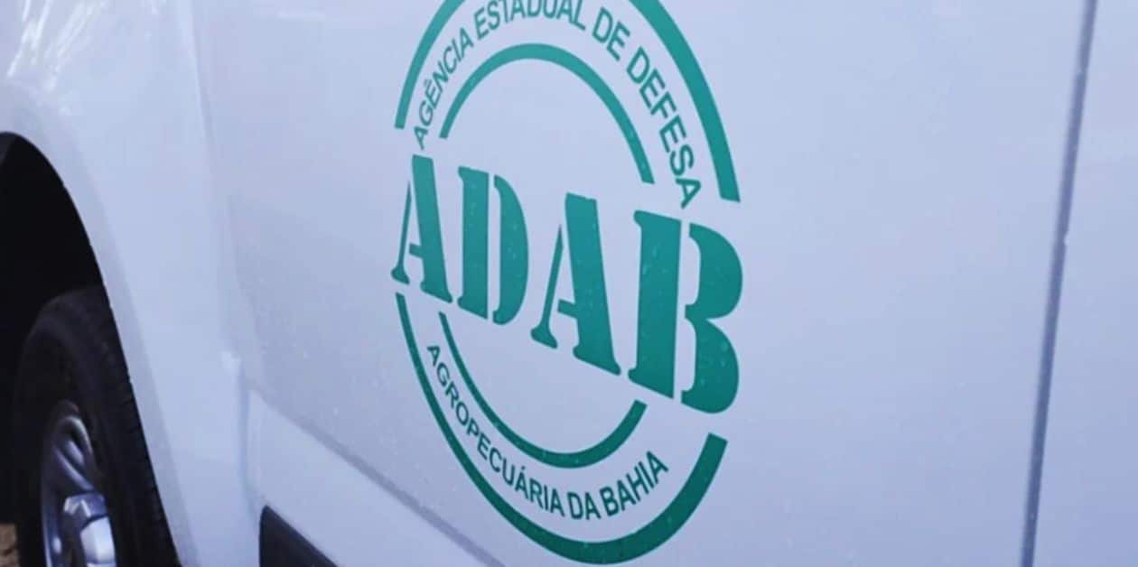 Concurso ADAB 2024: Fiscalização Agropecuária com salários atrativos!