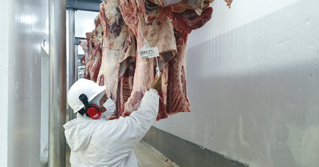 Conflito ameaça exportações agrícolas • Portal DBO 1 Crise com fiscais federais agropecuários põe em risco exportações • Portal DBO