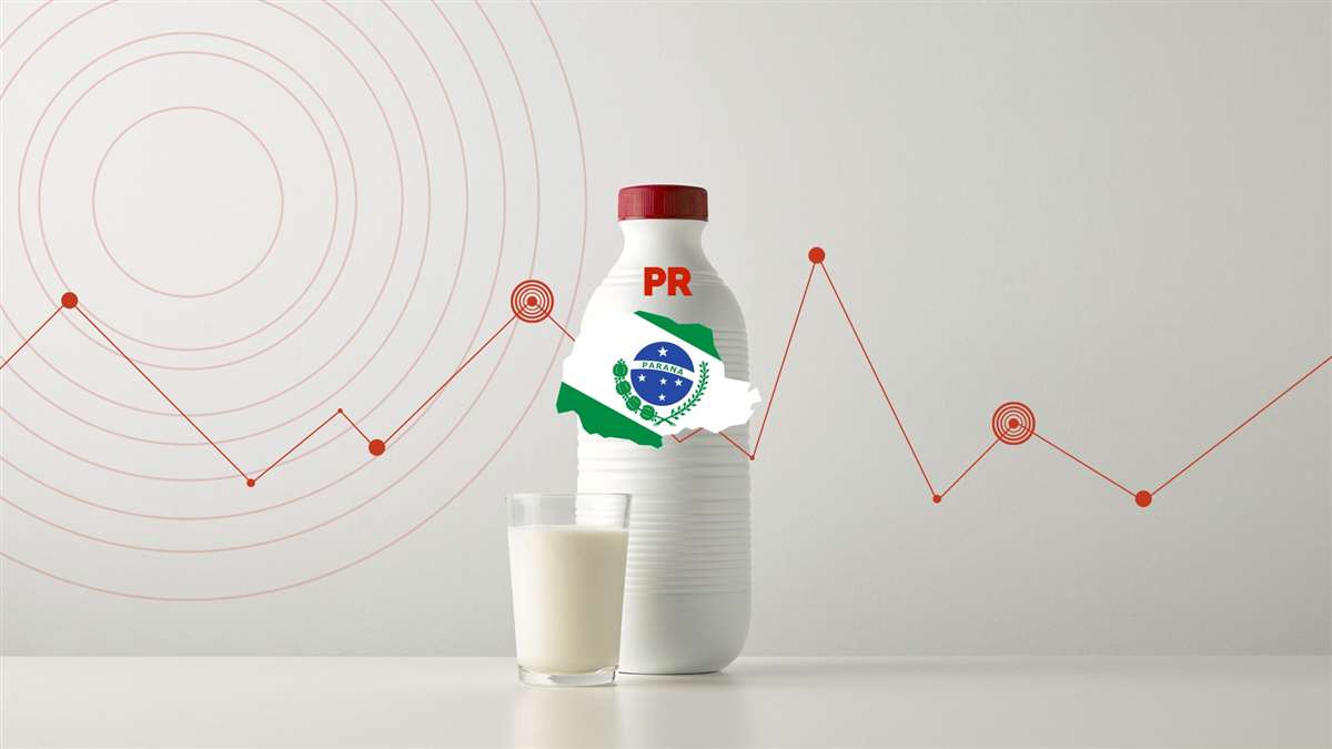 conseleite pr revela projecao valiosa