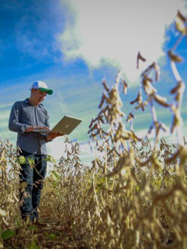 Número de trabalhadores atuando no agronegócio chega a 19,07 milhões 1 cropped gestao de projetos no agronegocio